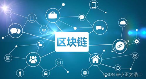 區(qū)塊鏈技術(shù)在軟件開發(fā)中的應用與前瞻